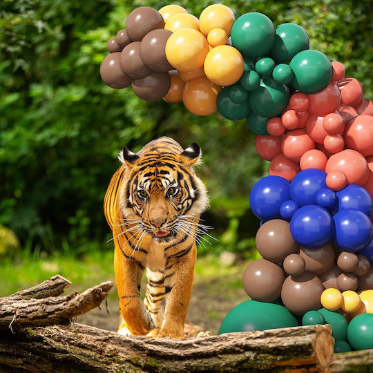 Set de Arc pentru Baloane Multicolor Decorări pentru Petreceri Diverse Culori Dimensiuni 92 Bucăți Bandă pentru Baloane Puncte Adezive
