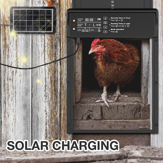 Automatic Ușă de Găini pentru Ferma Panou Solar Afișaj Telecomandă Senzor de Lumină Timer Senzor de Obstacol Rezistent la Apă Ip45 Ușor de Instalate Utilizare