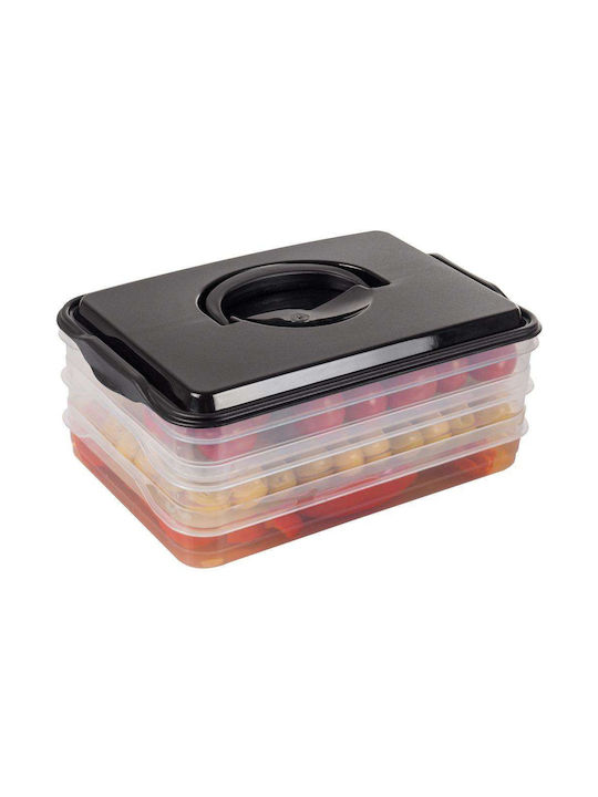 Vilde Plastic Lunch Box Transparent 23x15.5cm
