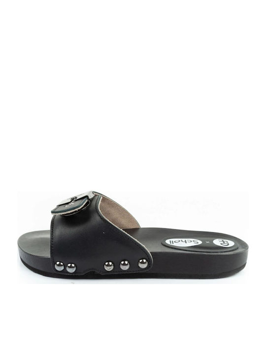 Scholl Scholl