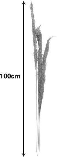 Artificial Decorative Branch Pampas Grass 140cm 3pcs Inart