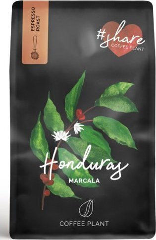 Coffee Plant Cafea Espresso Arabica Honduras Boabe 250gr