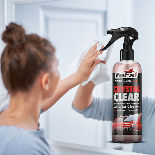 Feral Detailing Pro Καθαριστικό Σπρέι Τζαμιών Αυτοκινήτου 750ml