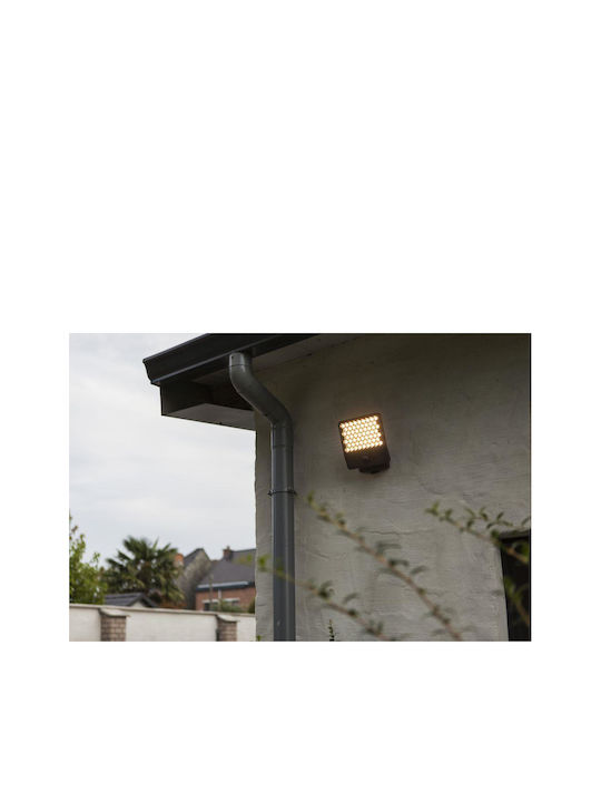 Lutec Wall-Mounted Outdoor Light 20.1x22.4x12.4εκ.