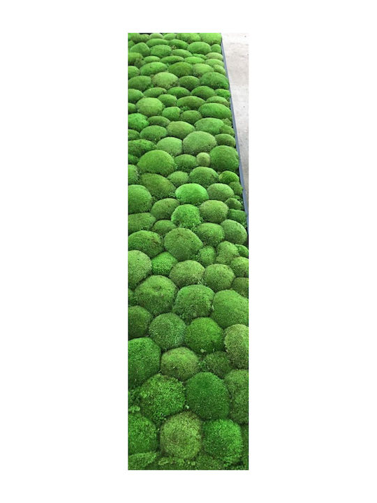 3D Πάνελ Τοίχου Πράσινο 100x80εκ. 322/80/1