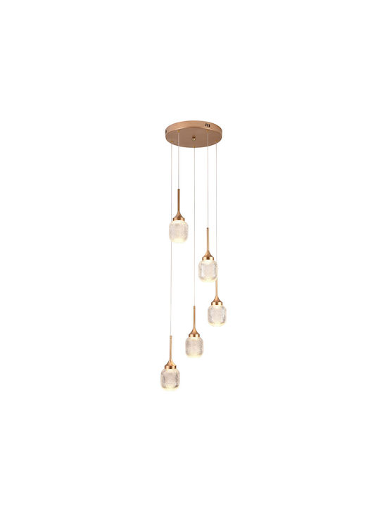 Inlight Pendant Light Gold 30x30x200cm