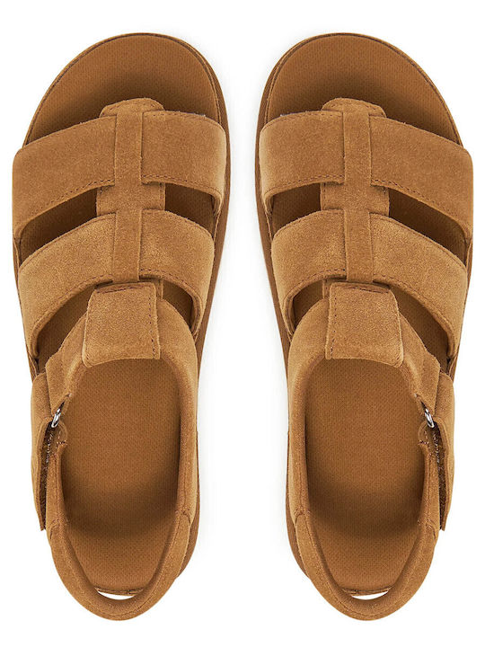 Goldenstar Women's Flat Sandals with Strap in Brown Color