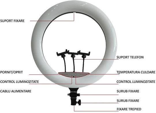 Professional Ring Light Led Circular Lamp Nextly Touch Control 56cm Diameter 22 Inch Warm Cool Neutral Light 10 Light Levels 3 Phone Holders Remote Control