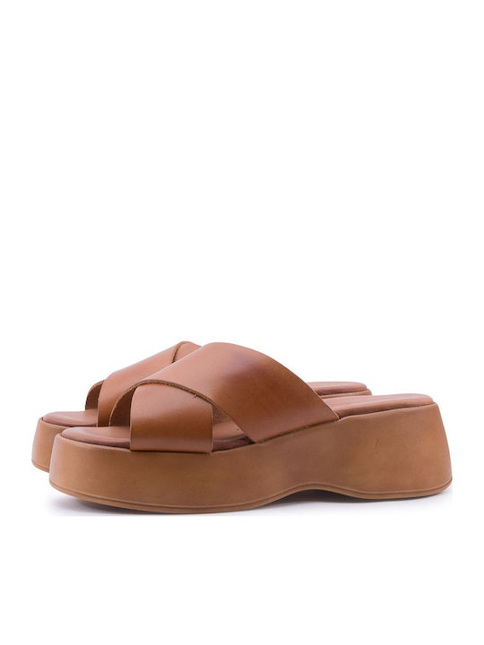 Baroque Baroque