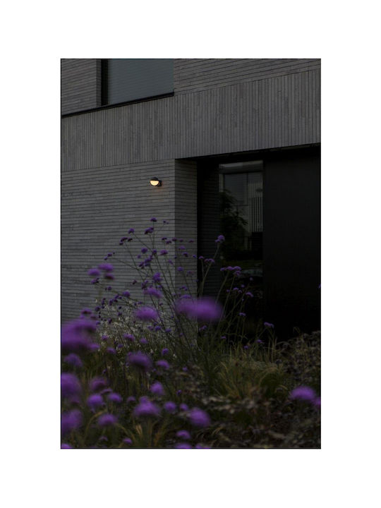 Lutec Looma Wall-Mounted Outdoor Light IP54
