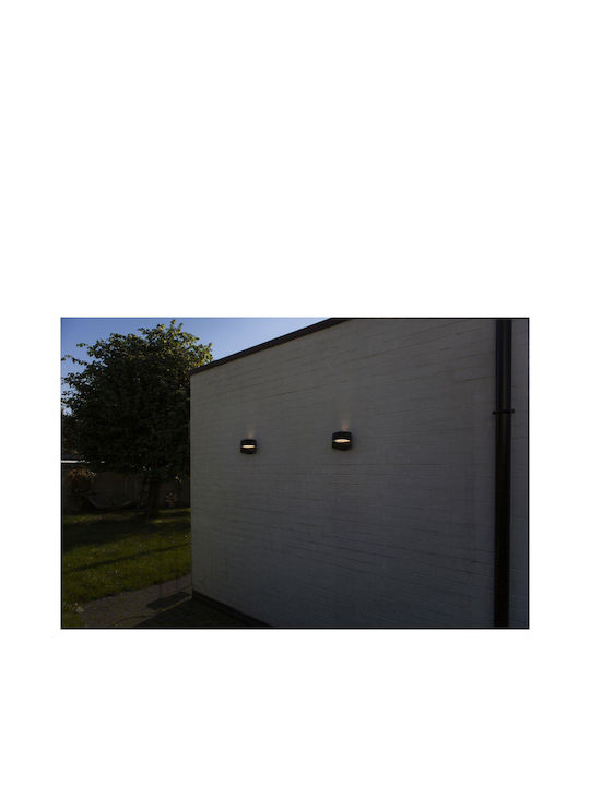 Lutec Lotus Wall-Mounted Outdoor Light