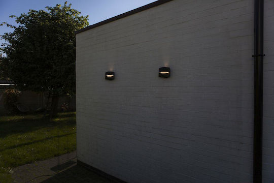Lutec Lotus Wall-Mounted Outdoor Lighting Black Lutec Lotus Wall-Mounted Outdoor Lighting Black