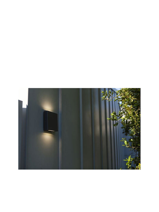 Lutec Wall-Mounted Outdoor Light