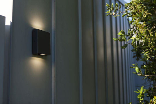Lutec Wall-Mounted Outdoor Gray Light Lutec Wall-Mounted Outdoor Gray Light