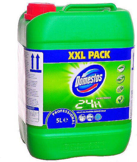 Domestos Reinigungsgel Toilette mit Duft Kiefer 5lt