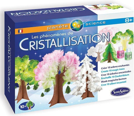 Sentosphere Crystallization Phenomenon Εκπαιδευτικό Παιχνίδι Γνώσεων