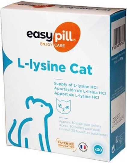 EasyPill L-Lysine Λιχουδιά για Ενίσχυση Ανοσοποιητικού 60gr