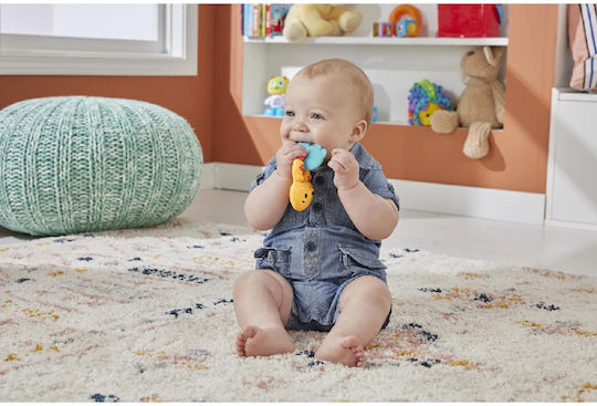 Fisher Price Otter Silicone Teething Rattle Teethers & Teething Relief for 3 m+ Otter