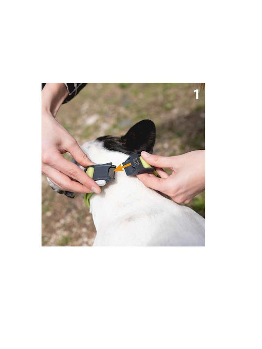 Hundehalsband Hundehalsbänder Magnetisches Verschluss Einfach Zu Verwenden Maximale Sicherheit S Hundehalsband Hundehalsbänder Magnetisches Verschluss Einfach Zu Verwenden Maximale Sicherheit S