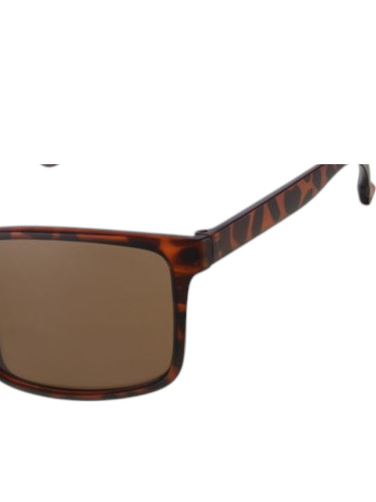 Paolo Moss Men's Sunglasses with Brown Frame and Brown Lens