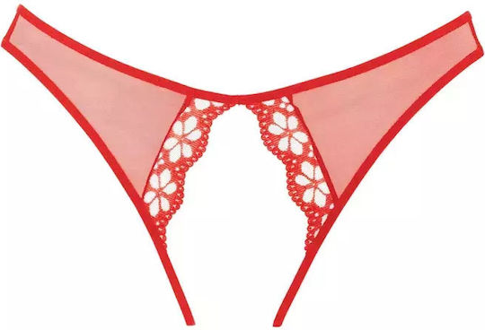 Allure Lingerie Adore Mirabelle Panty Red