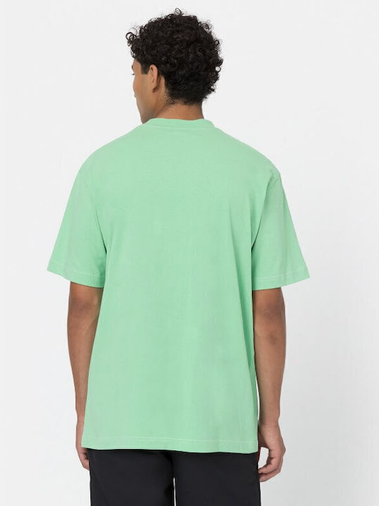 Dickies Dickies