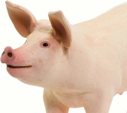Μινιατούρες Safari Large White Pig Μεγάλο Λευκό Γουρούνι