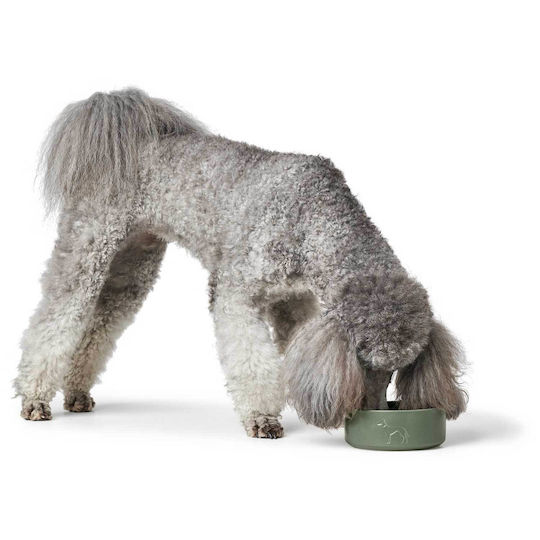 Hunter Osby Ceramic Bowl Food for Dog with Base 1.9lt in Black Color