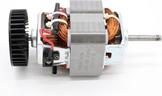 Maxima Motor