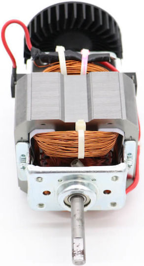 Maxima Motor