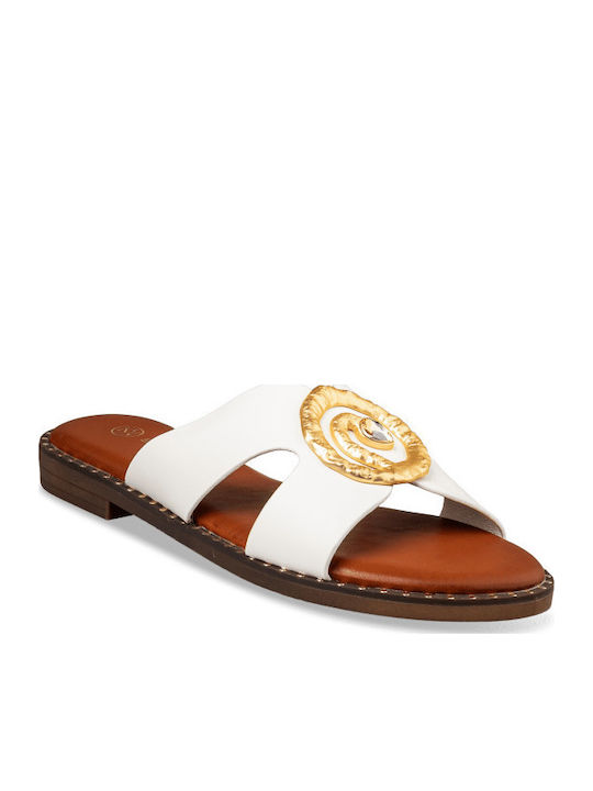 Envie Shoes