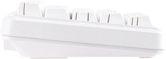 Ajazz AK680 Max Gaming Mechanical Keyboard 65% with Magnetic switches and RGB lighting (English US) White