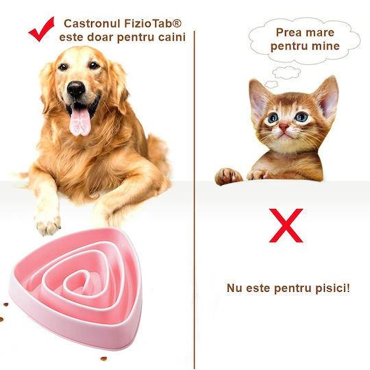Bol De Mâncare Pentru Câine Din Plastic ABS