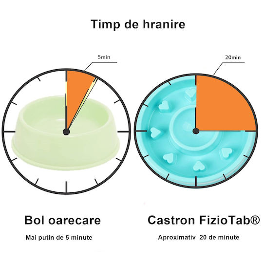 Bol De Mâncare Pentru Câine Din Propilenă