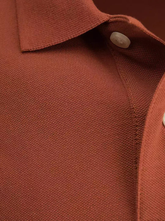 King Polo T-Shirt Brown