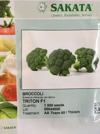 Semințe Broccoli Triton F1 10000 Buc