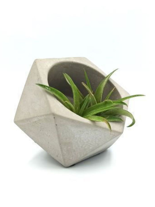 Κασπώ Polygon Grey 12x12x12y
