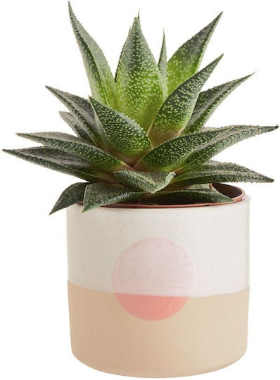 Sunset Plant Pot D11cm Beige Orange Beige Clay Diameter 11 Cm Height 10 Cm