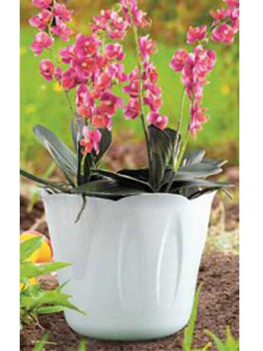 Bama Plastic Plant Pot Ø15x12cm 1lt White Design Mimosa Pot Italy