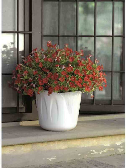 Bama Κασπώ Πλαστικό Ø15x12cm 1lt Σχέδιο Λευκό Mimosa Pot Ιταλίας