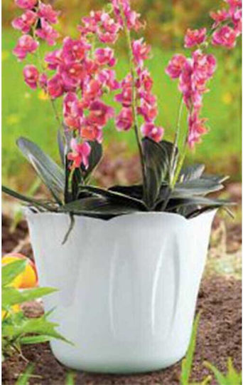 Bama Plant Pots Plastic Ø15x12cm 1lt Design 3 Sizes Brown Mimosa Pot Italy
