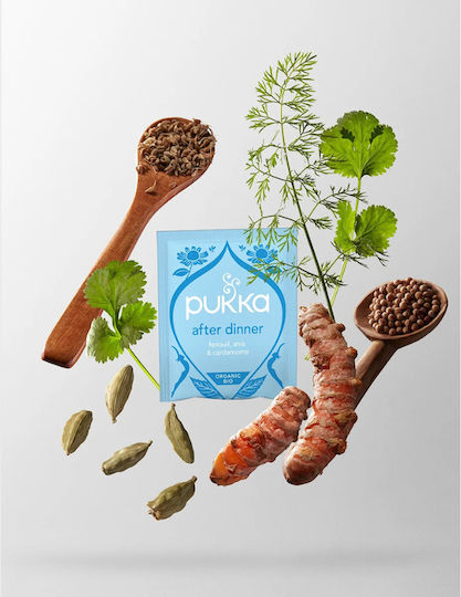 Pukka Tee Bio-Produkt 20 Beutel 1Stück