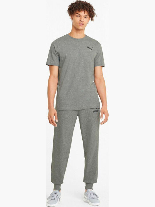 Cat T-shirt Gray
