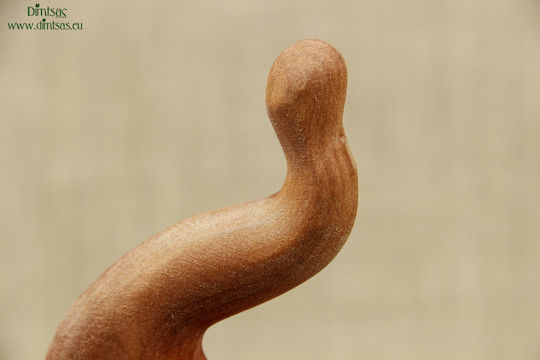 Wooden Cherry Walking Cane No2