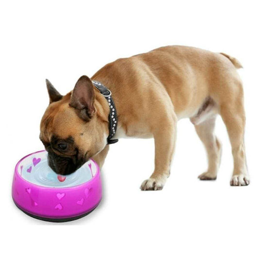 All For Paws Love Bol Plastic Pentru Mâncare Și Apă Pentru Câine Și Pisică 970ml 18x18x8cm (Diverse Culori)