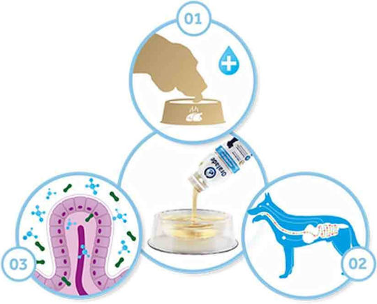 Oralade GI Support Probiotika für Hunde und Katzen 500ml für die allgemeine Gesundheit