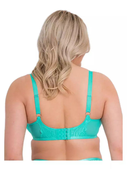 Curvy Kate Curvy Kate