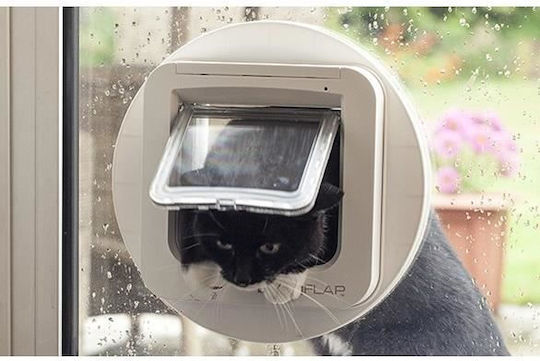 Sureflap Tür für Hunde aus Plastik in Weiß Farbe 25 x 25 x 25cm