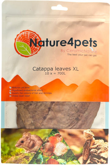 Nature4pets Catappa Leaves Xl 10pcs 21-40cm