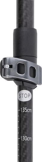 Escape Endura Wanderstock